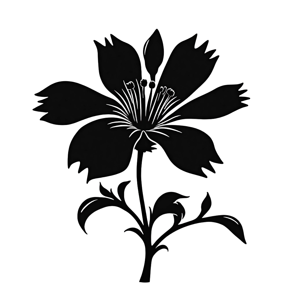 Silhouette of a Flower